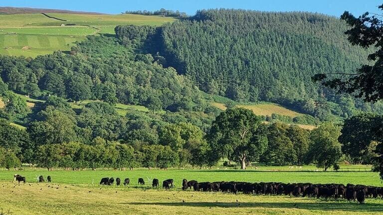 The hills are alive with the sound of sustainable innovation